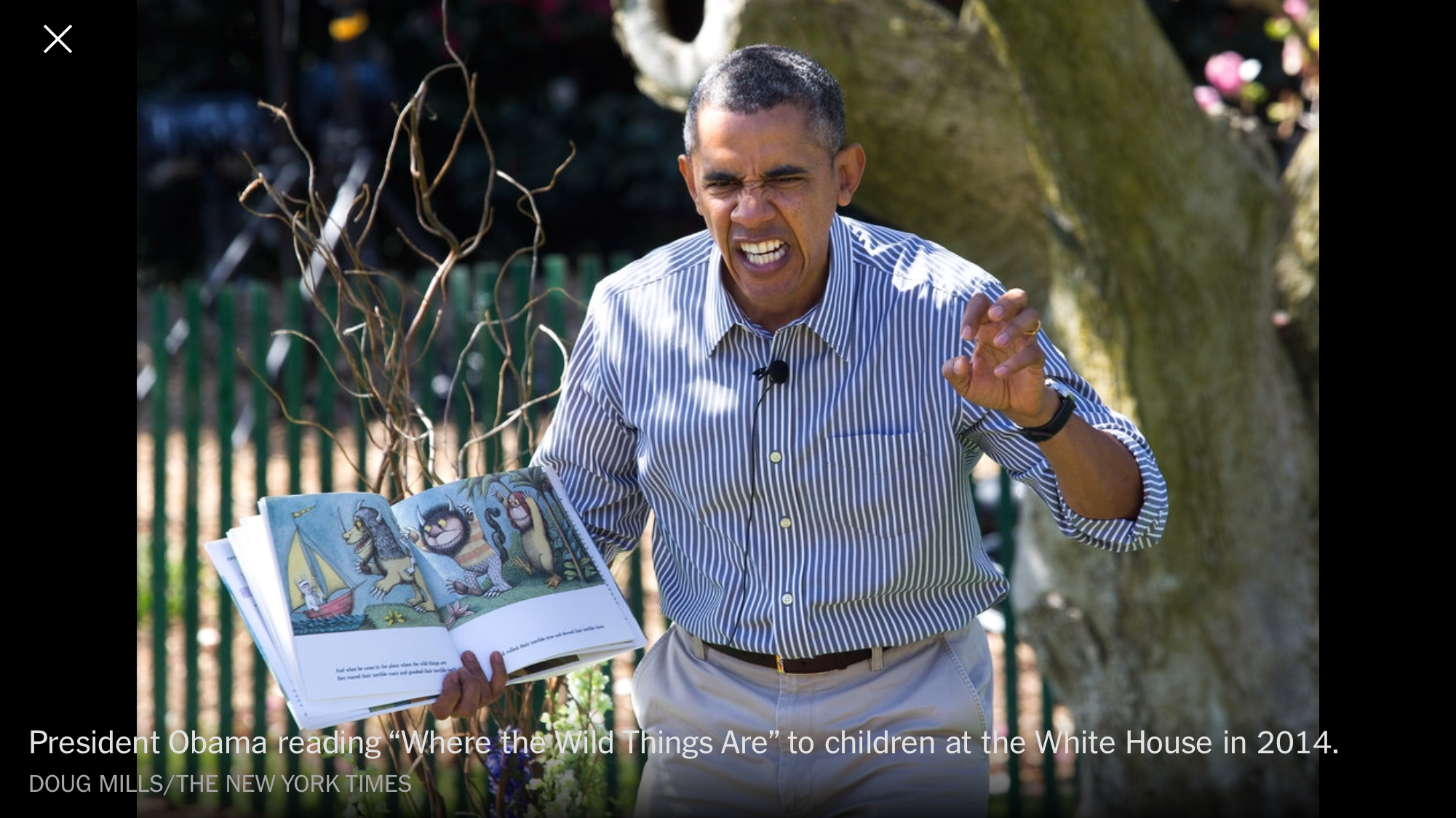Reginald Rumpus And now, let the wild rumpus start…. | The Lemonade Chronicles